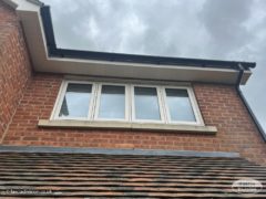 Fascia and soffit replacement and new windows